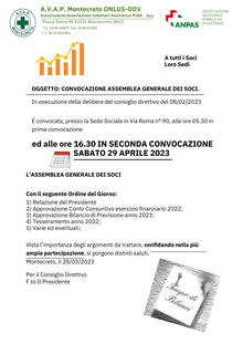 assemblea sosi